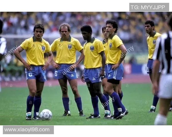 巴西足球明星拉易的传奇之路与辉煌成就探秘